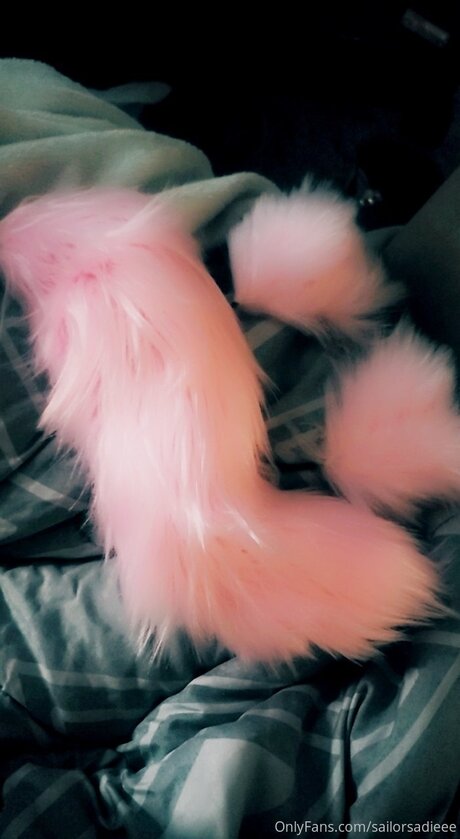 Sailor Sadie sexy model picture