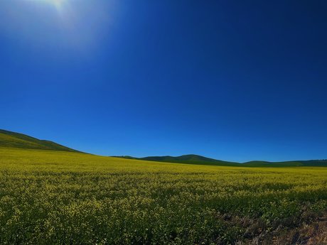 Sage Kingsley hot actress photo