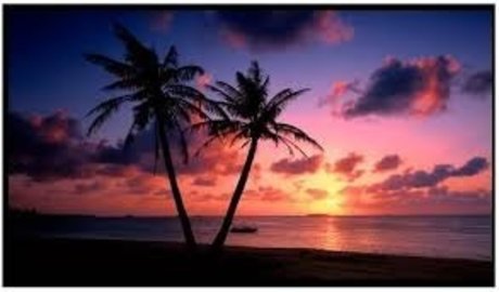 SaftigerDaddy naked pornstar galleries