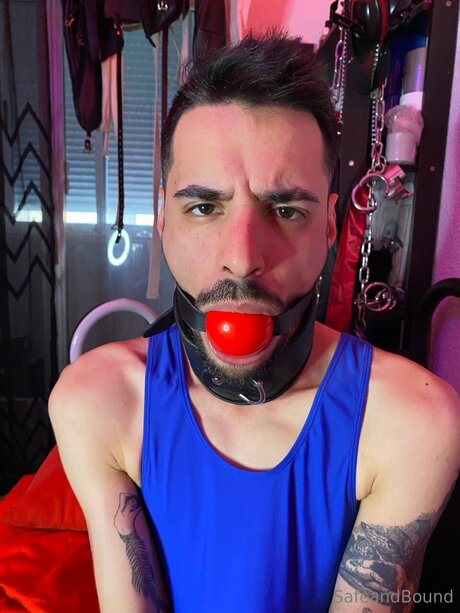 Safe and Bound Profile pic