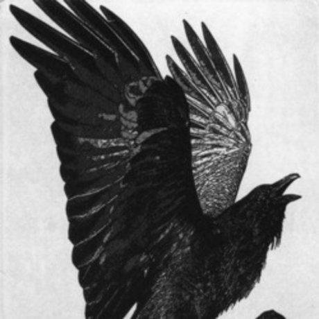 Doom model perfect image