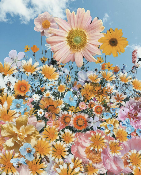 sadgrrlx star perfect archive