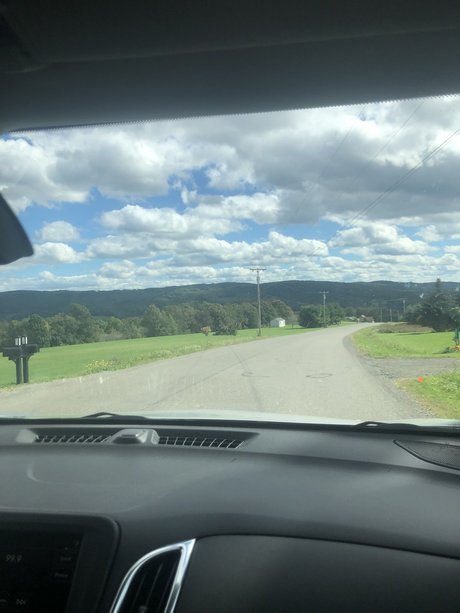 DiorDior star nudes picture