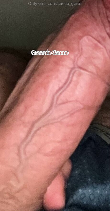 Sacco Gerar nude pornstar picture