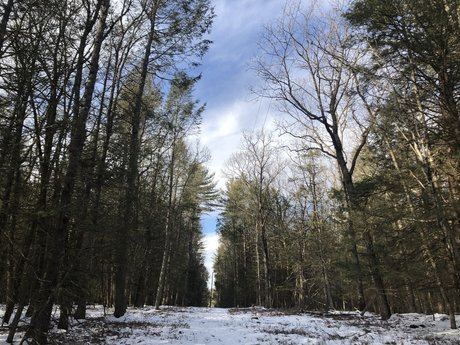 sabby pornstar nudes pictures