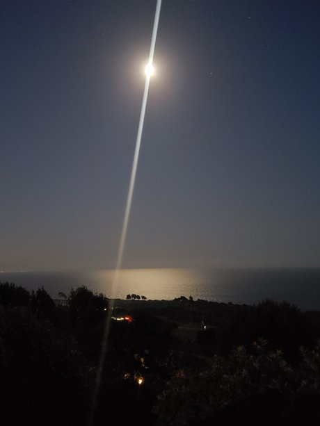 R S 932 pornographic star gallery