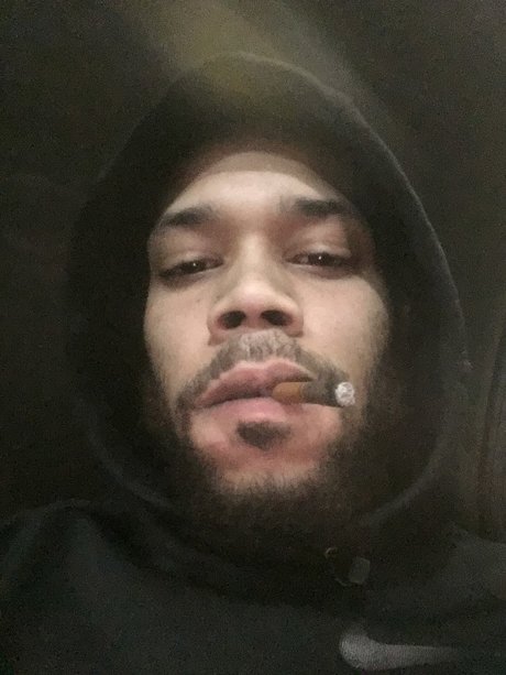 S2VONT best model picture