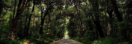 Ryuzaki_ star adult photos