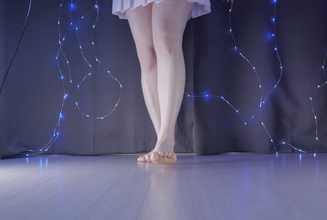 Ppomo model top image