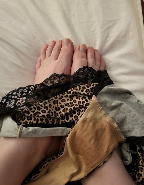 koshercoochie star perfect img