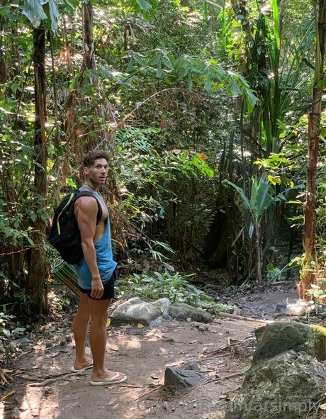 arsimply star nice pictures