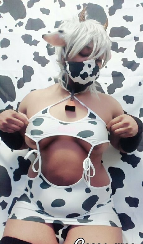 cocoa moo star nice photos