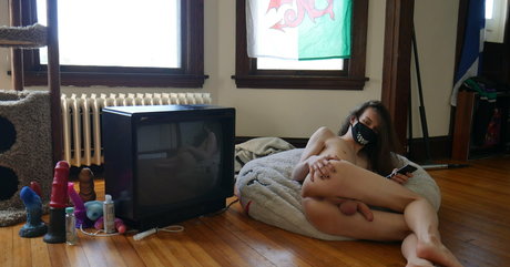 noodlybat star beautiful photo