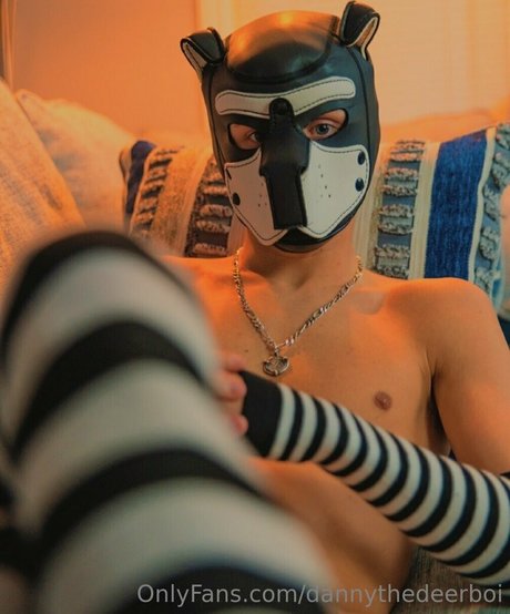 dannythedeerboi star beautiful img