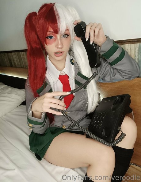 Veroodle best model archive