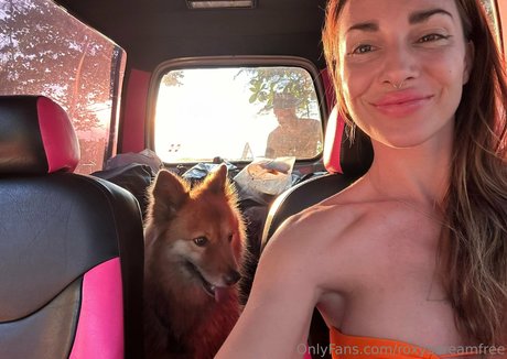 roxysdreamfree erotic pornstar pics