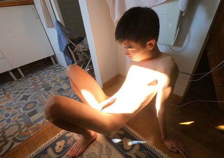 stallion bunny model sex image