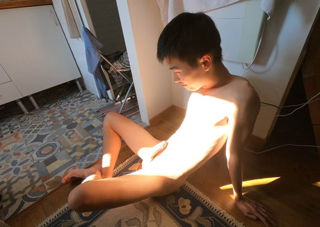 stallion bunny nude actress archive