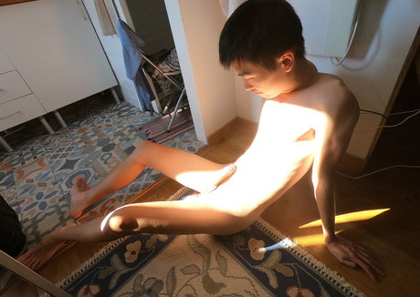 stallion bunny model porn image