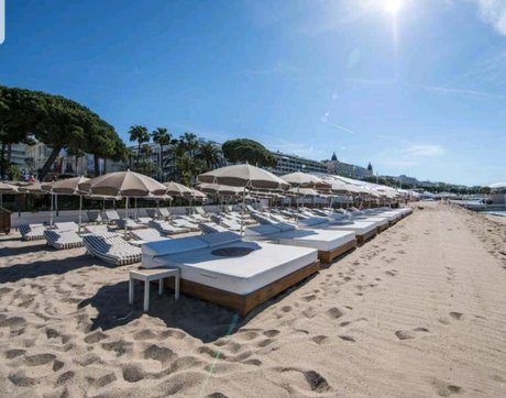 Sarah Bell_ art pornstar gallery