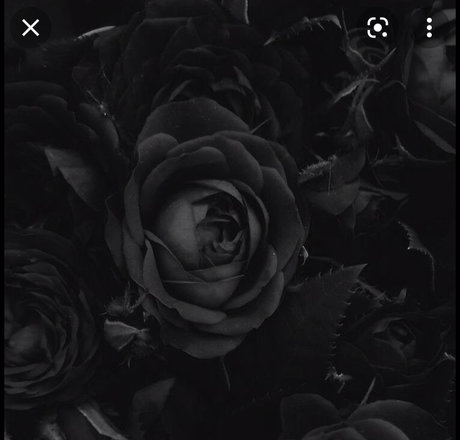 Santeria pornographic model photos