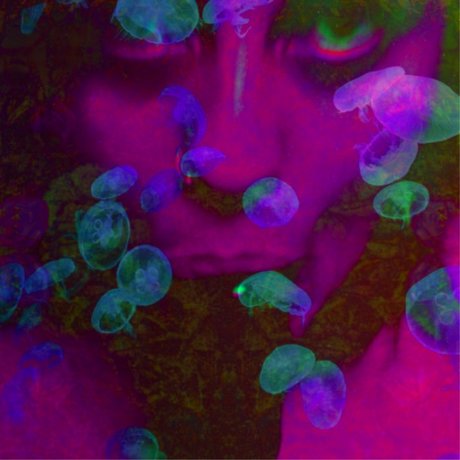 S A N T A M O N N E Z Z A star art archive