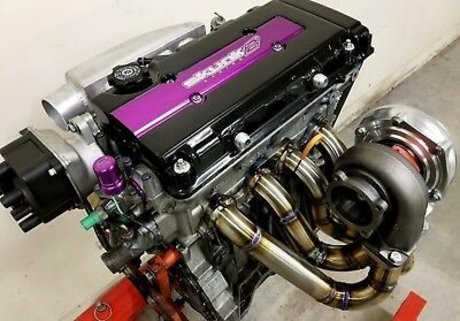 Man Dingo Warrior high quality model images