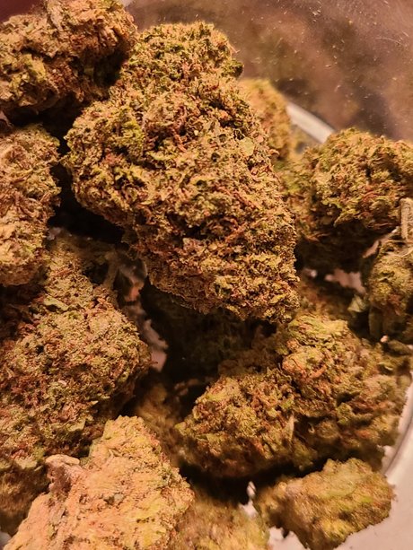 Big Drew erotic star archive