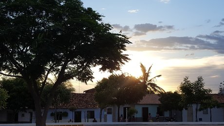 Israelgigolo pornstar art picture