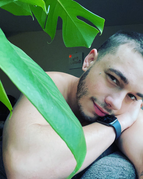 Rylan Lee star high quality pic