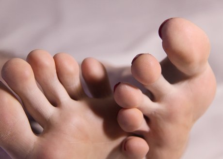 Tallone d Achille model adult images