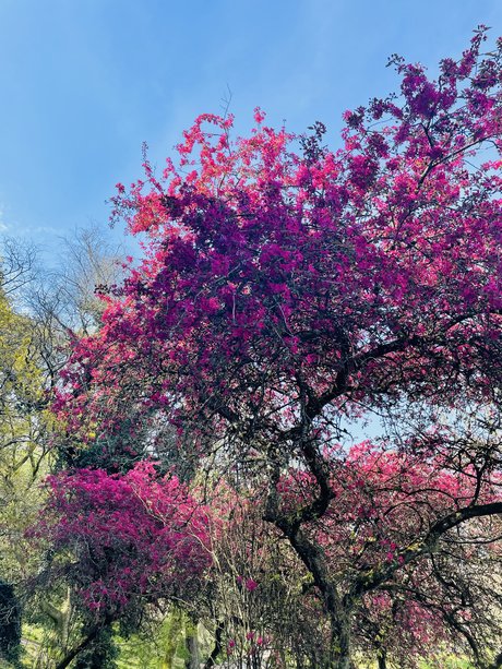 _Luna Deleis_ model free pic