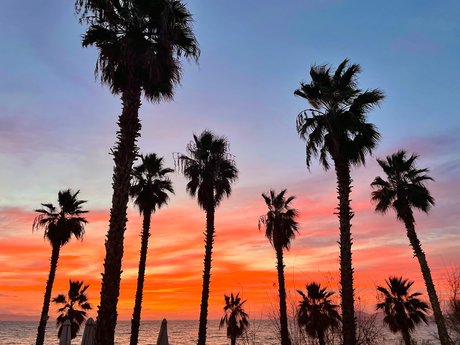 luii nice star gallery