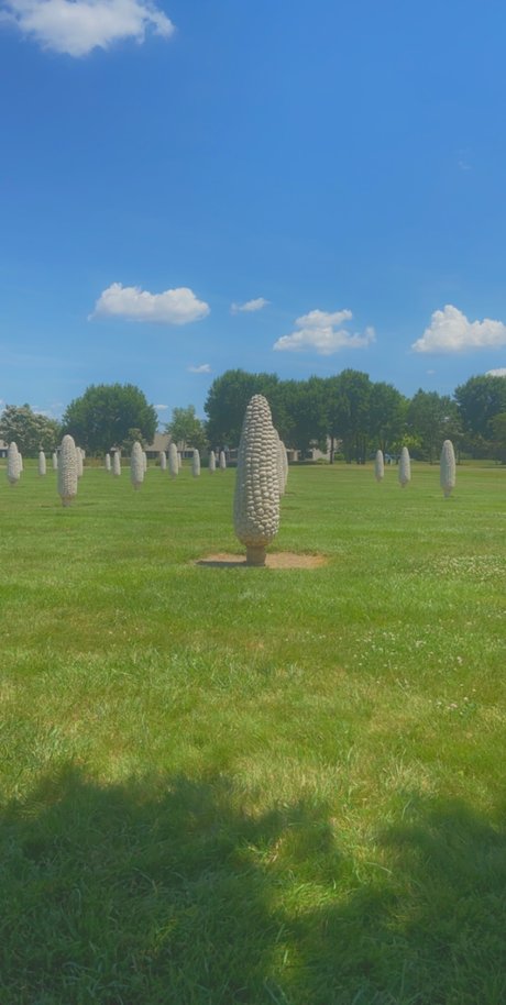 Raelan star perfect archive