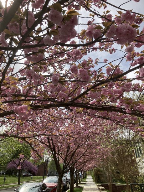 Riley Leigh nice actress pics