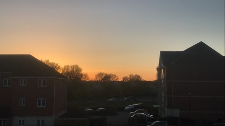 Lucas Oliver nice actress photo