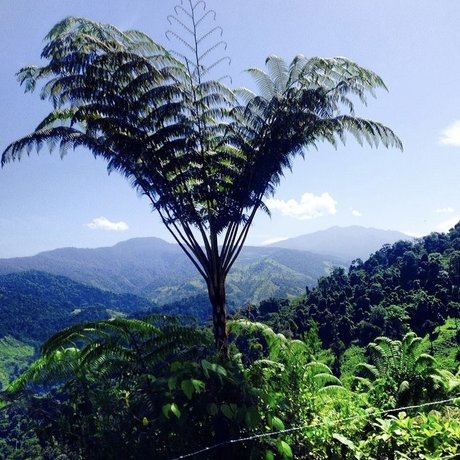 savibaby free actress photo