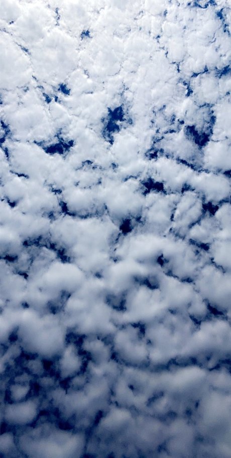 Savannah Denea nude star image