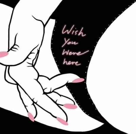 Xoxo star porn galleries