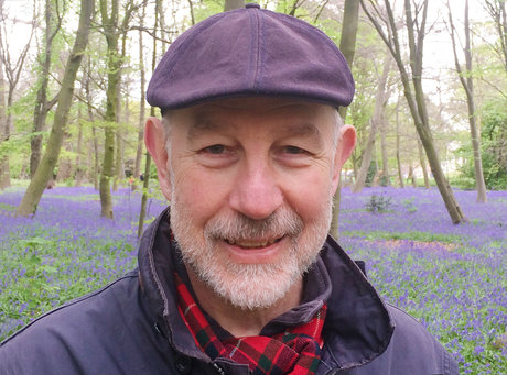 Robert Workman star galleries