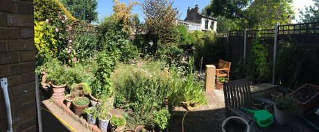 Robert Workman art actress photos