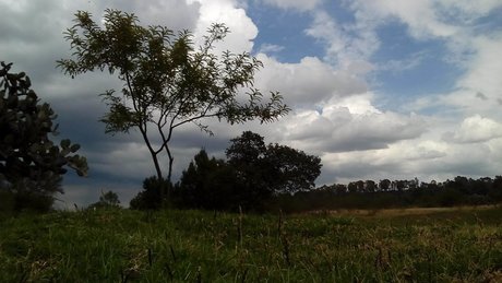 _lr n model nice pic