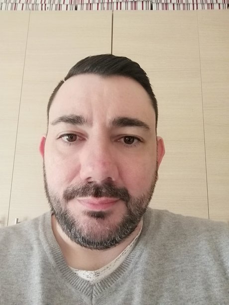 FAT BEAR perfect model archive