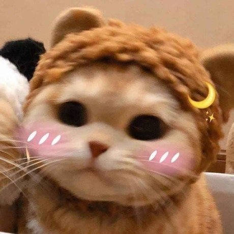 u151486669 beautiful actress pictures