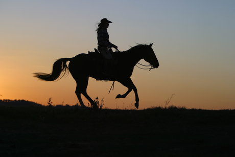 Nicolas Nardini beautiful model pics