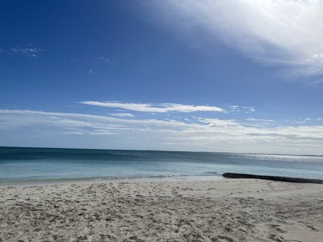 MsecurityR pornstar adult pic