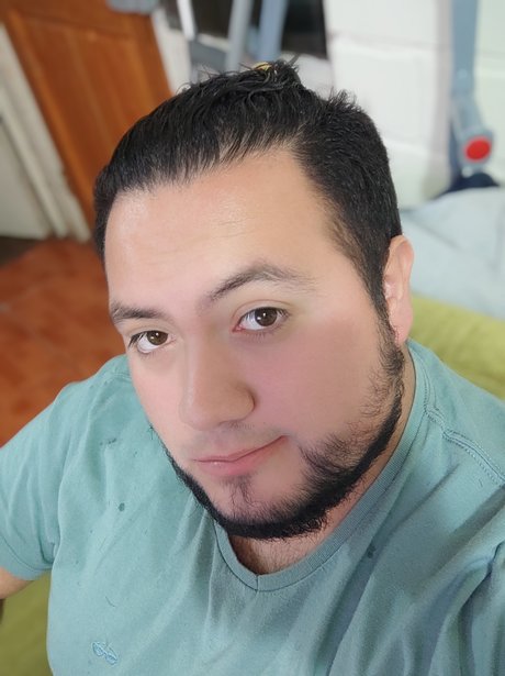 michael salinas model art image