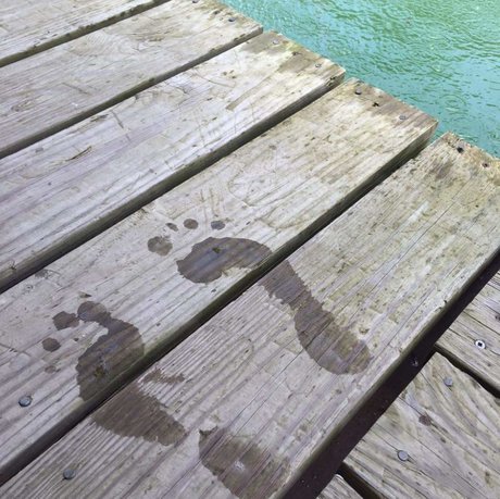 Miss Piggy s_ star hot pictures