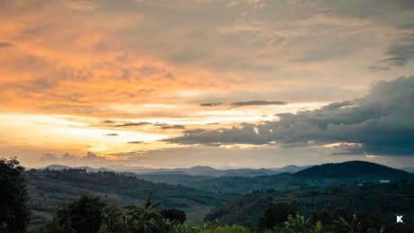 Thickest Traveler free model pictures