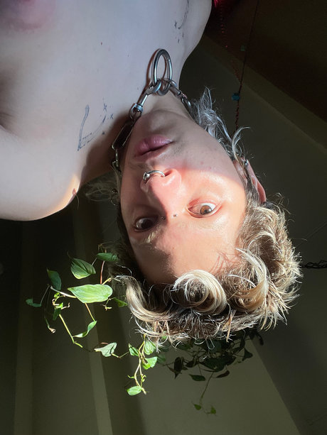 Themme exclusive star images